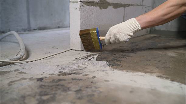 Top rated local Crawl Space Encapsulation specialists in Burnett, WI